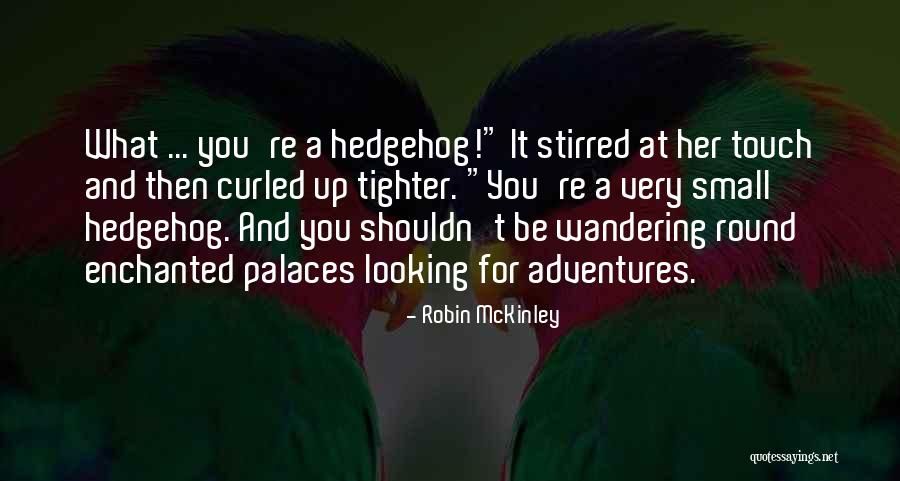 Robin McKinley Quotes 770924 Robin McKinley Quotes 770924