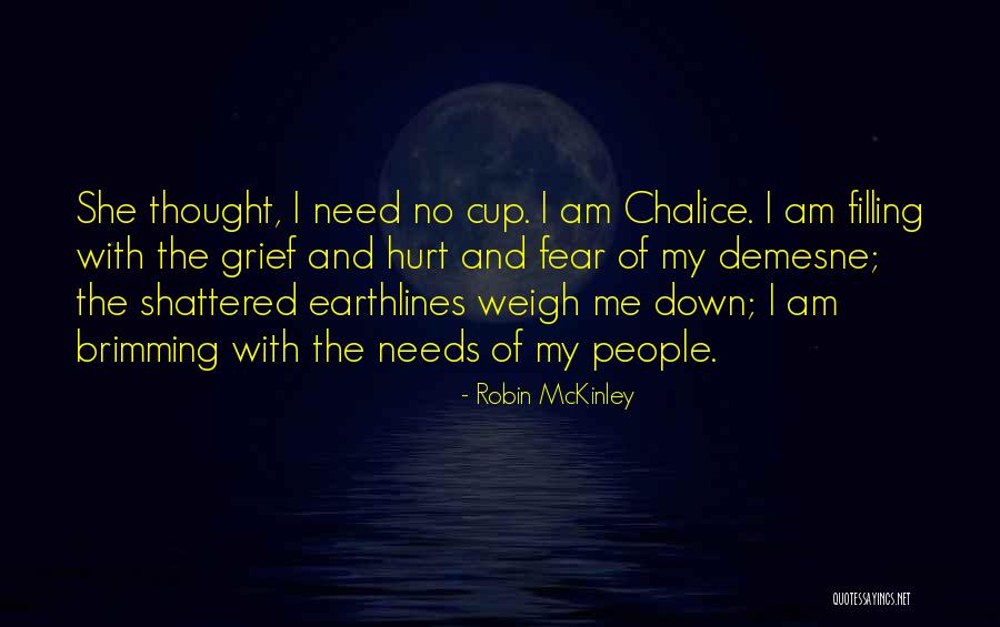 Robin McKinley Quotes 897493