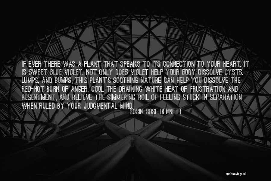 Robin Rose Bennett Quotes 1428690