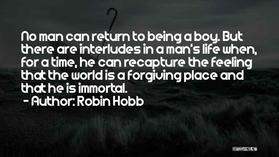 Robin The Wonder Boy Quotes By Robin Hobb