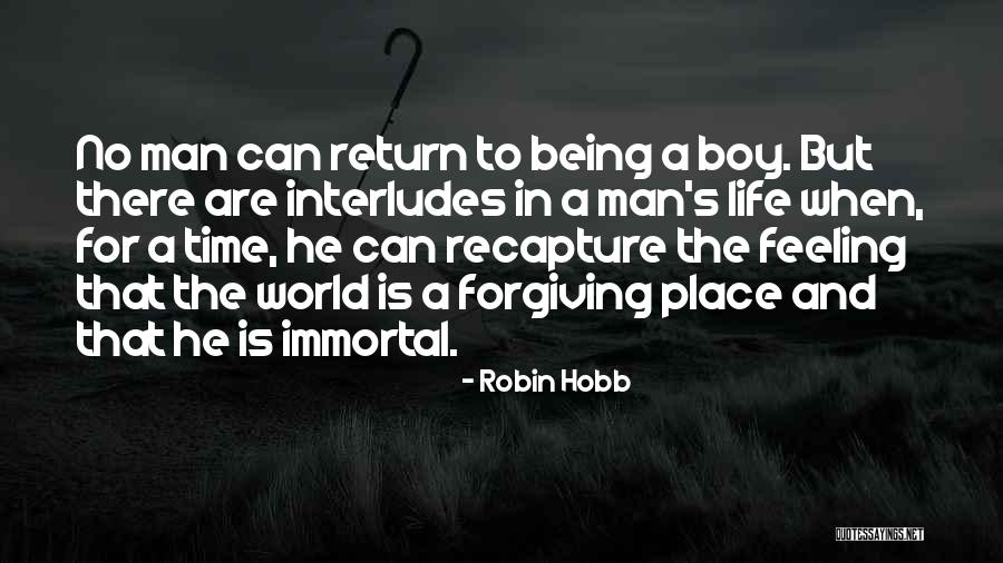 Robin The Wonder Boy Quotes By Robin Hobb