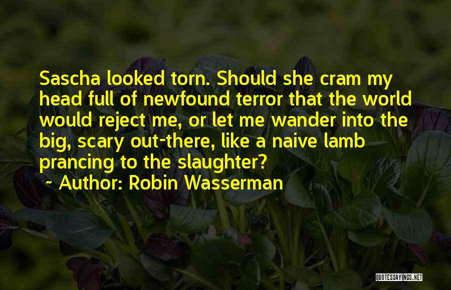 Robin Wasserman Quotes 1762483