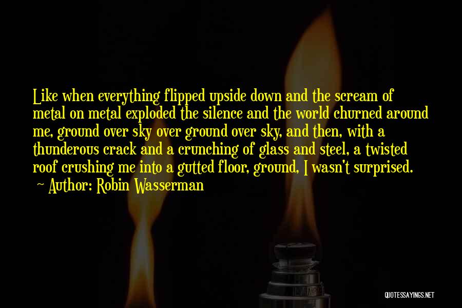 Robin Wasserman Quotes 682415