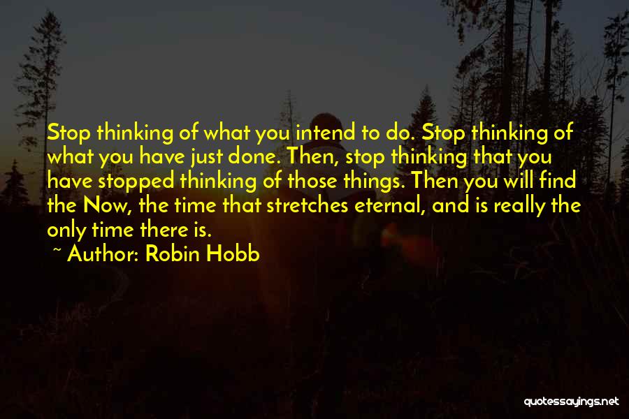 Robin Will Quotes By Robin Hobb