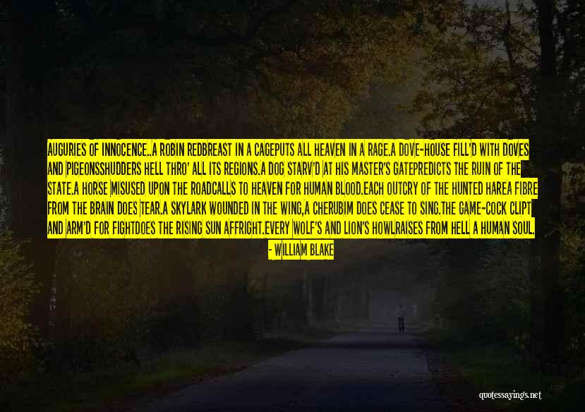 Robin William Quotes By William Blake Robin William Quotes By William Blake