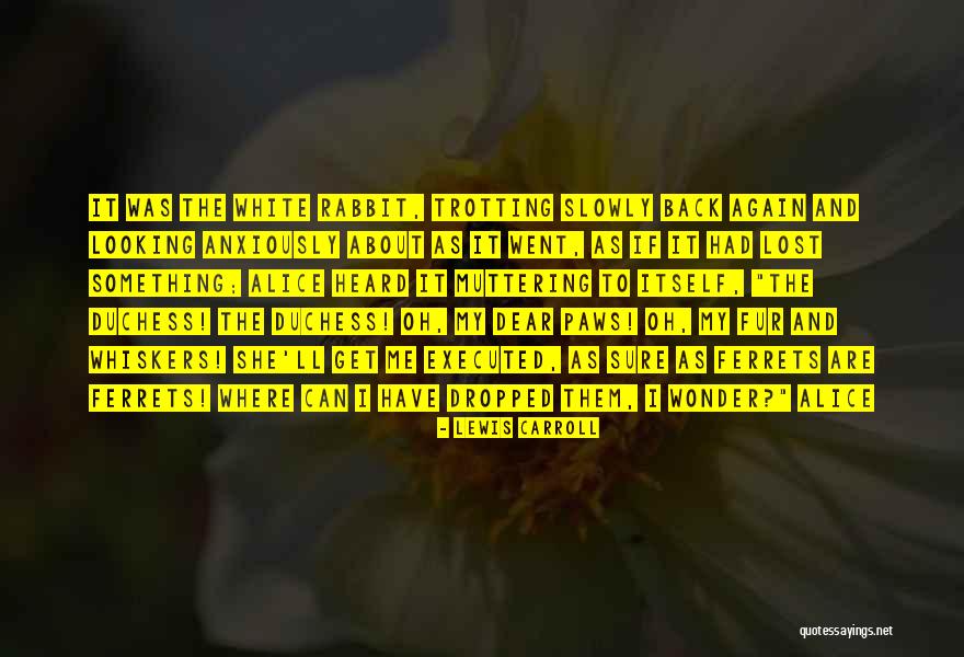 Robin Williams Peter Pan Hook Quotes By Lewis Carroll Robin Williams Peter Pan Hook Quotes By Lewis Carroll