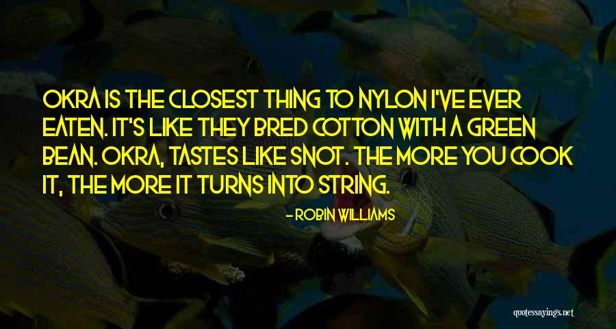 Robin Williams Quotes 1358248 Robin Williams Quotes 1358248