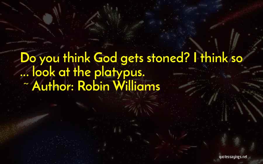 Robin Williams Quotes 293404