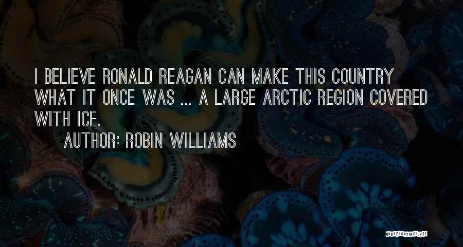 Robin Williams Quotes 533643