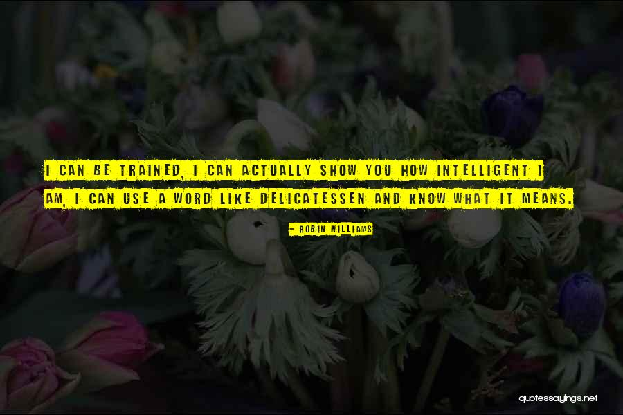 Robin Williams Quotes 667512 Robin Williams Quotes 667512