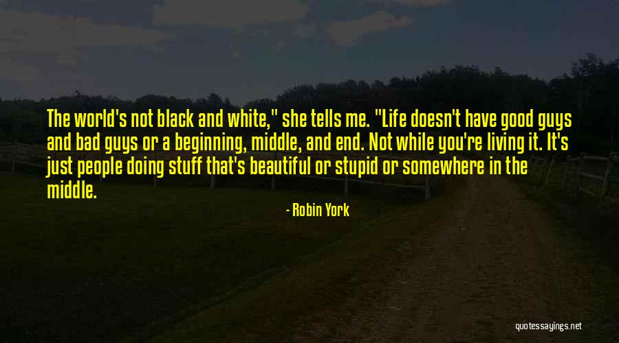 Robin York Quotes 1288650