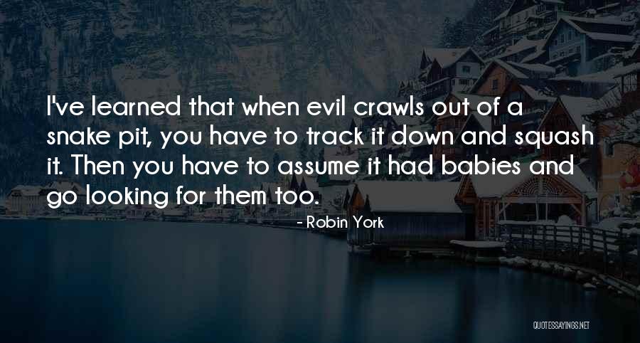 Robin York Quotes 1725727