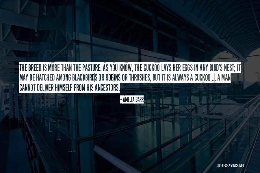 Robins Nest Quotes By Amelia Barr Robins Nest Quotes By Amelia Barr