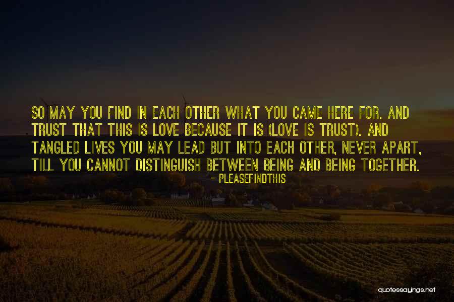 Robitaille Wilson Quotes By Pleasefindthis Robitaille Wilson Quotes By Pleasefindthis
