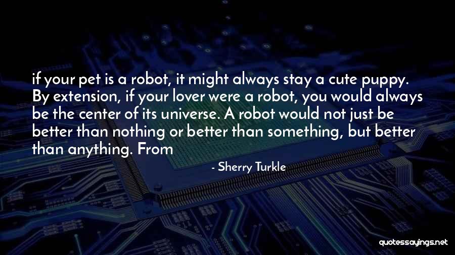 Robot Quotes By Sherry Turkle