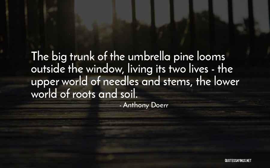 Robotech Cyclone Quotes By Anthony Doerr Robotech Cyclone Quotes By Anthony Doerr