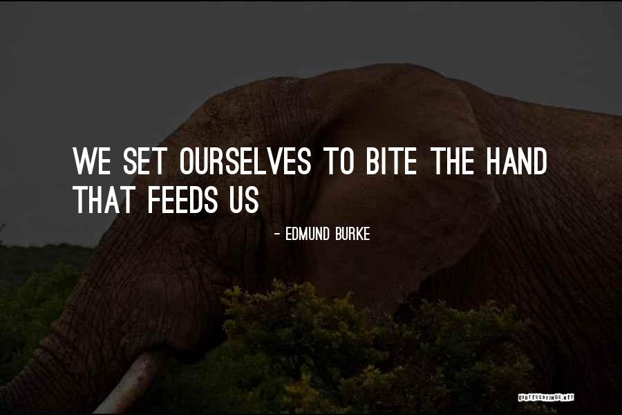 Robotham Family History Quotes By Edmund Burke Robotham Family History Quotes By Edmund Burke