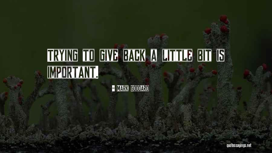 Robson Moura Quotes By Mark Goddard