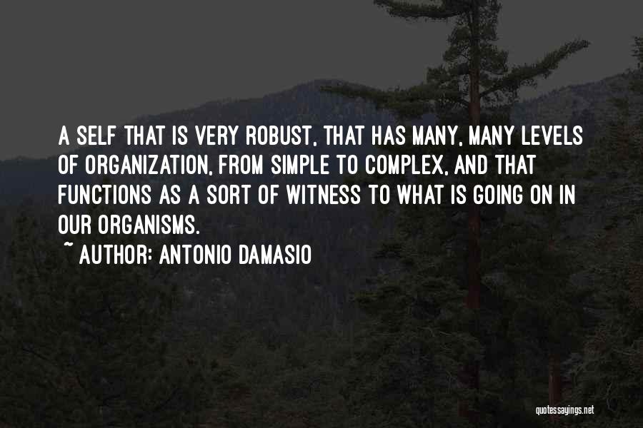 Robust Quotes By Antonio Damasio