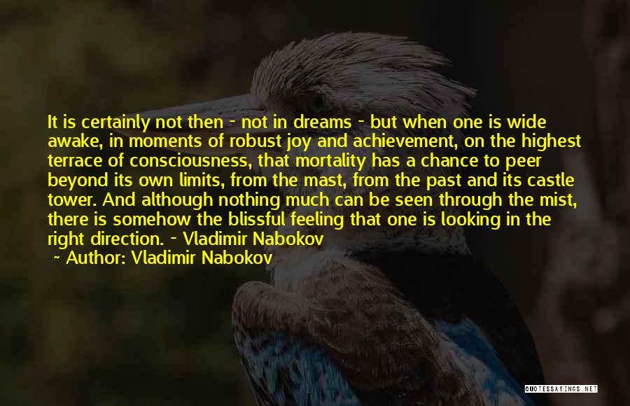 Robust Quotes By Vladimir Nabokov