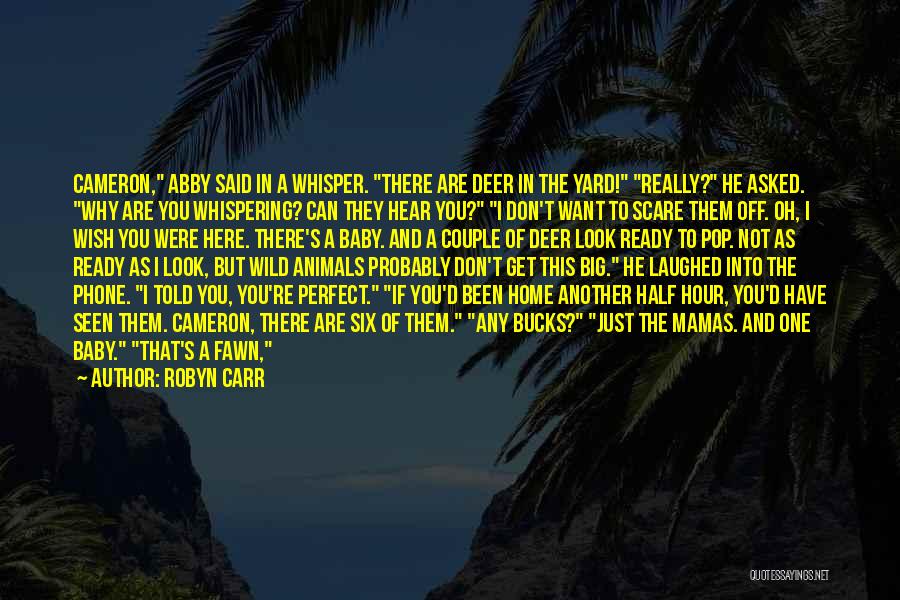Robyn Carr Quotes 1096430