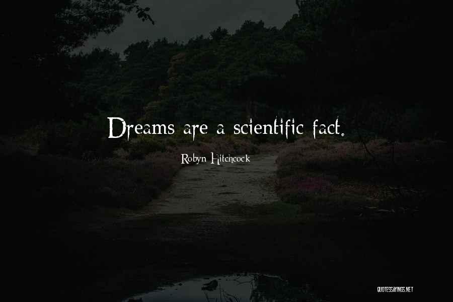 Robyn Hitchcock Quotes 1227636 Robyn Hitchcock Quotes 1227636
