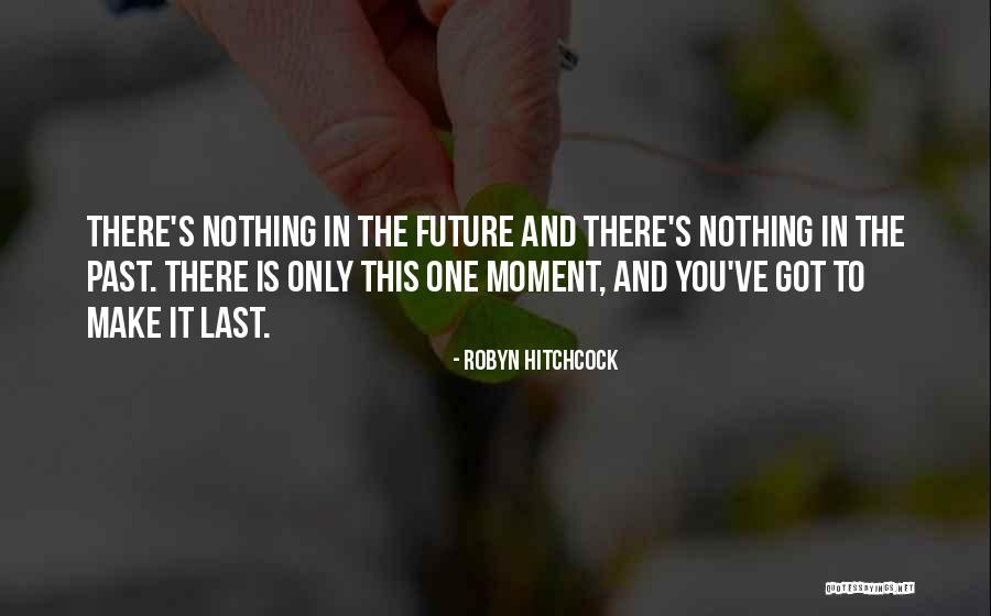 Robyn Hitchcock Quotes 1393126 Robyn Hitchcock Quotes 1393126