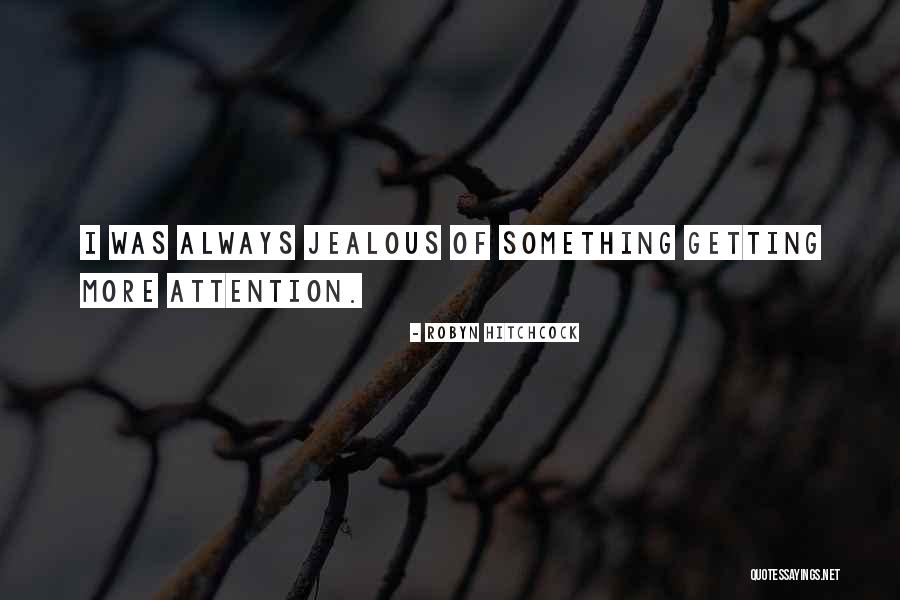 Robyn Hitchcock Quotes 1556934