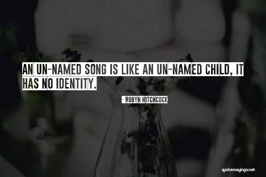 Robyn Hitchcock Quotes 2160430