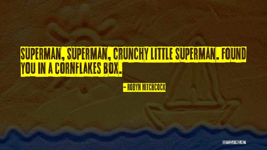 Robyn Hitchcock Quotes 2261903 Robyn Hitchcock Quotes 2261903