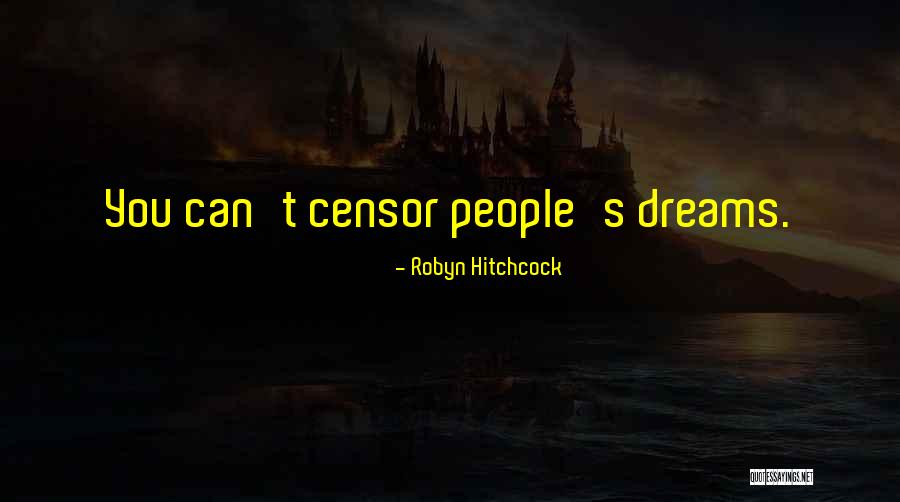 Robyn Hitchcock Quotes 863351