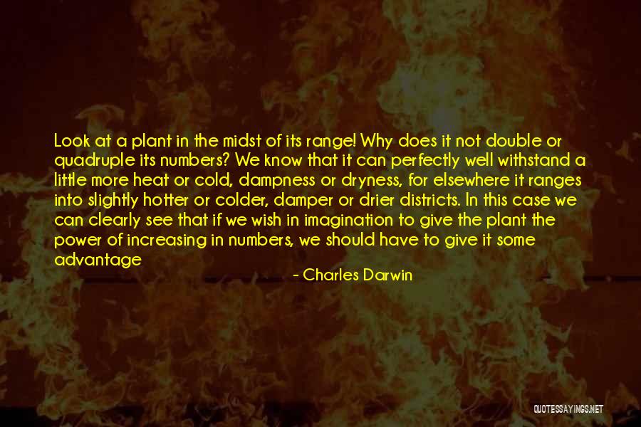 Rocafort Cheese Quotes By Charles Darwin Rocafort Cheese Quotes By Charles Darwin