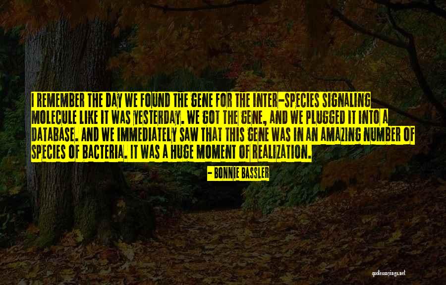 Rochas Igneas Quotes By Bonnie Bassler Rochas Igneas Quotes By Bonnie Bassler