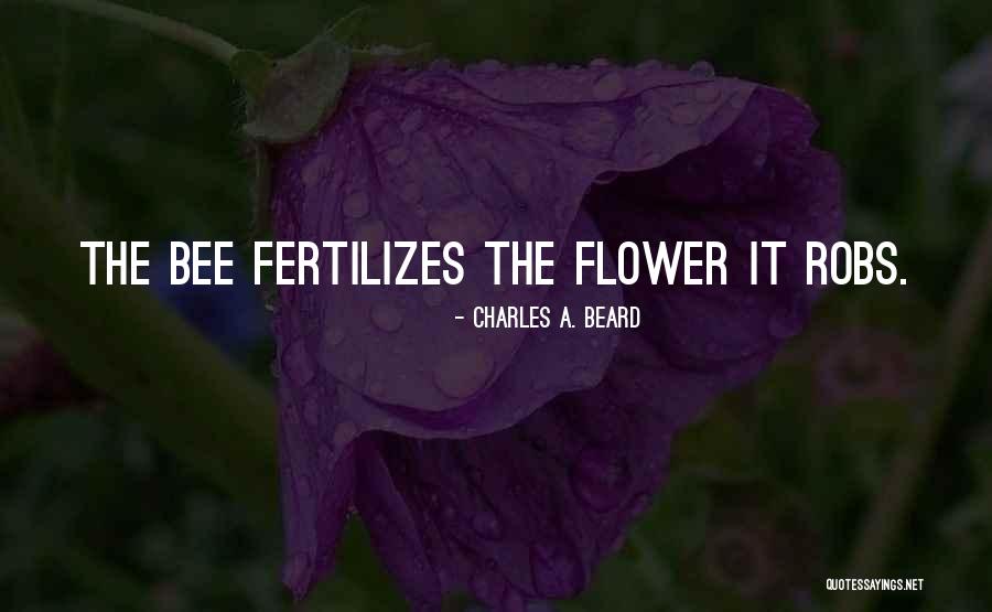 Rocheleau Law Quotes By Charles A. Beard Rocheleau Law Quotes By Charles A. Beard