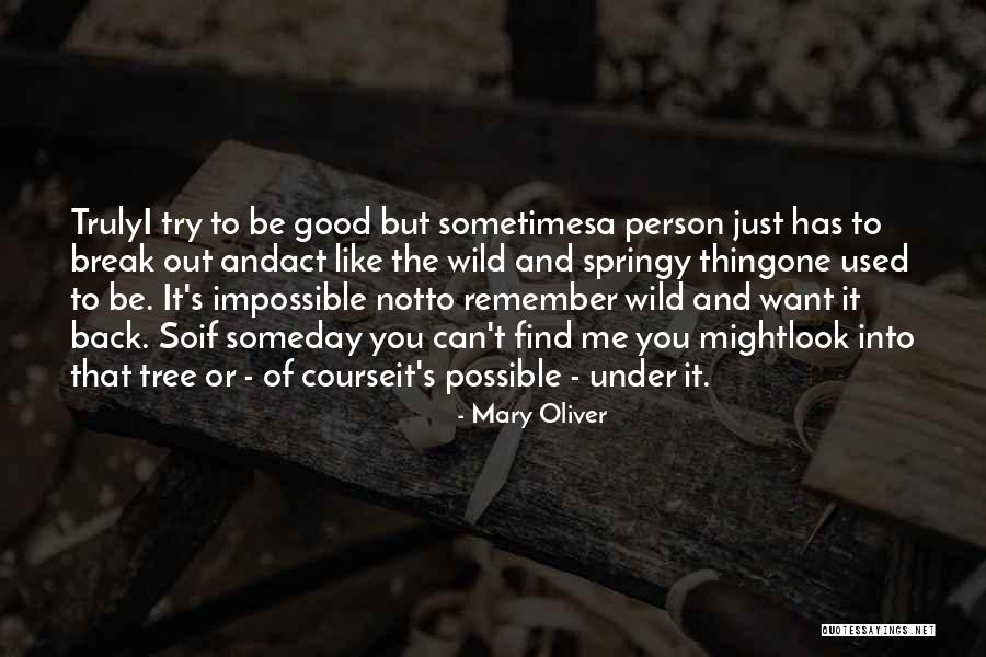 Rochere Golden Quotes By Mary Oliver Rochere Golden Quotes By Mary Oliver