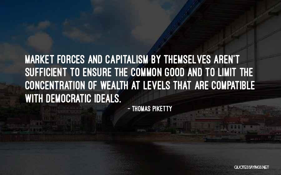 Rochester Institute Of Technology Quotes By Thomas Piketty Rochester Institute Of Technology Quotes By Thomas Piketty