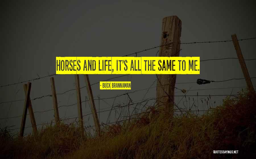 Rochia Mea Quotes By Buck Brannaman Rochia Mea Quotes By Buck Brannaman