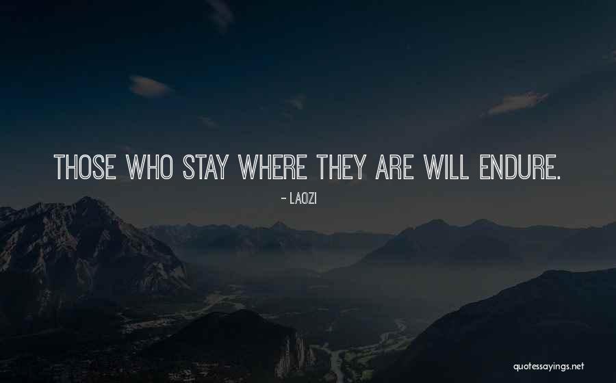 Rochina Project Quotes By Laozi Rochina Project Quotes By Laozi
