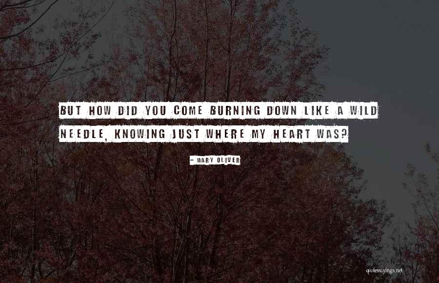 Rochon Genova Quotes By Mary Oliver Rochon Genova Quotes By Mary Oliver