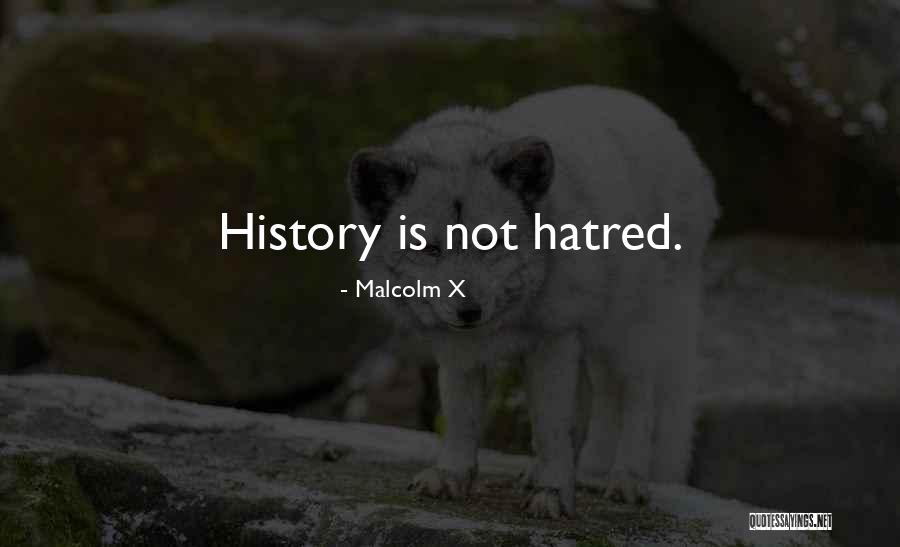 Rochow Co Quotes By Malcolm X Rochow Co Quotes By Malcolm X