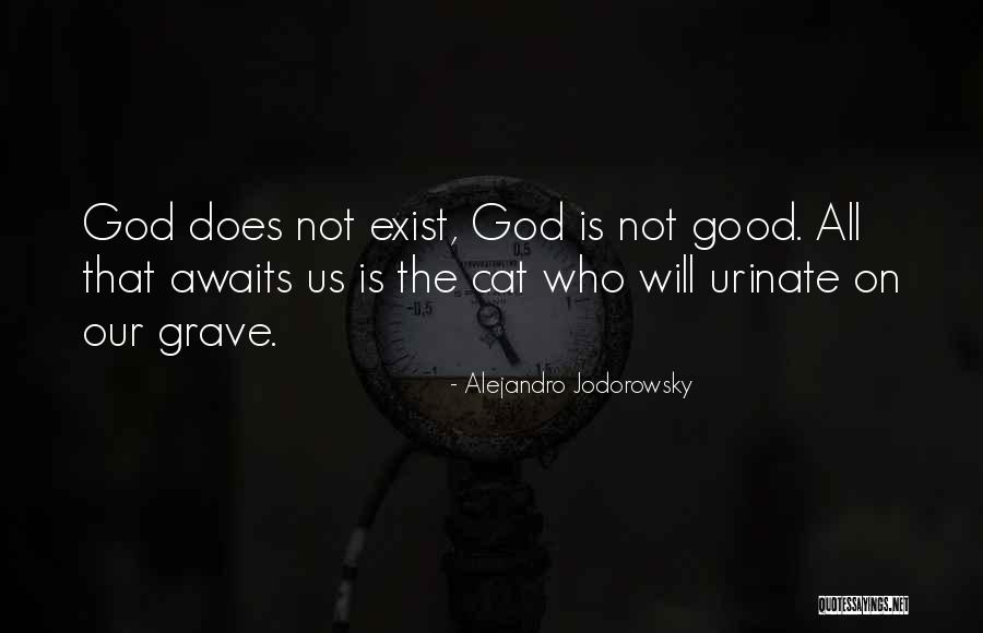 Rocinantes Quotes By Alejandro Jodorowsky Rocinantes Quotes By Alejandro Jodorowsky