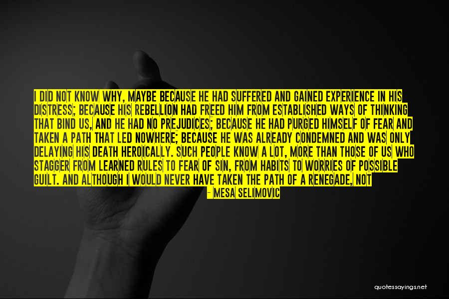 Rock Alternative Quotes By Mesa Selimovic Rock Alternative Quotes By Mesa Selimovic