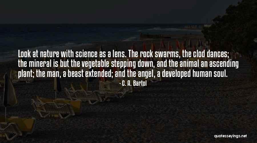 Rock And Mineral Quotes By C. A. Bartol Rock And Mineral Quotes By C. A. Bartol
