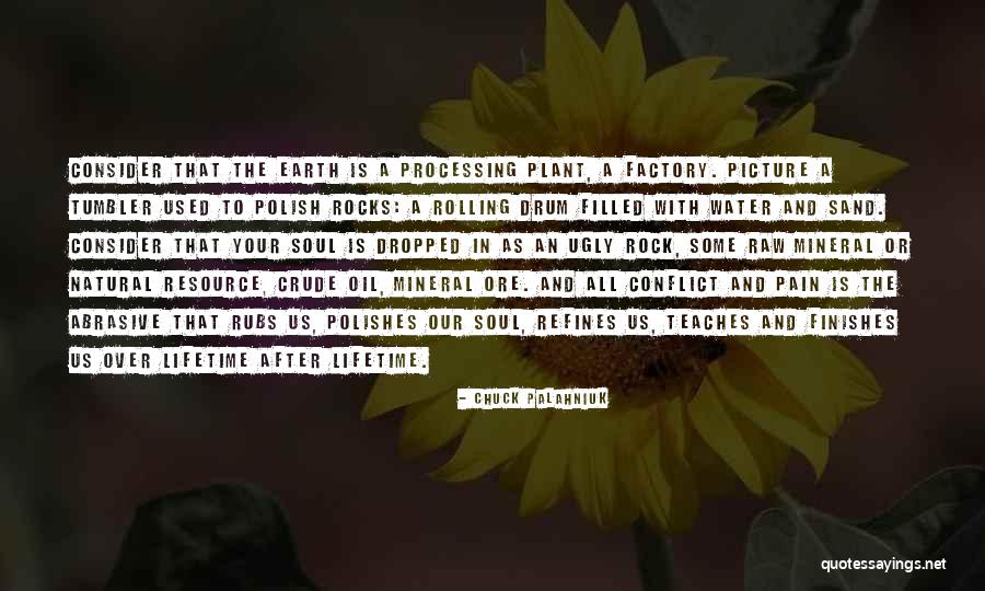Rock And Mineral Quotes By Chuck Palahniuk Rock And Mineral Quotes By Chuck Palahniuk