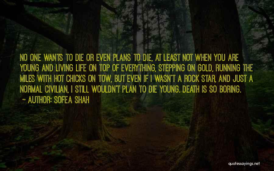 Rock Chicks Quotes By Sofea Shah