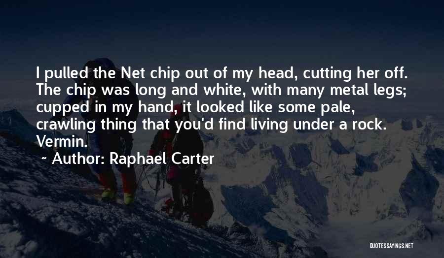 Rock Crawling Quotes By Raphael Carter