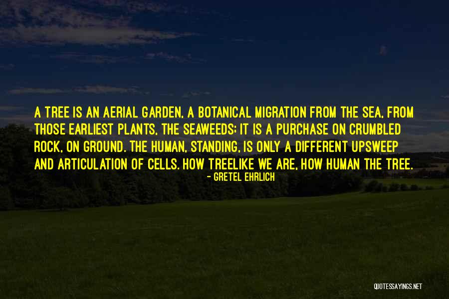 Rock Garden Quotes By Gretel Ehrlich Rock Garden Quotes By Gretel Ehrlich