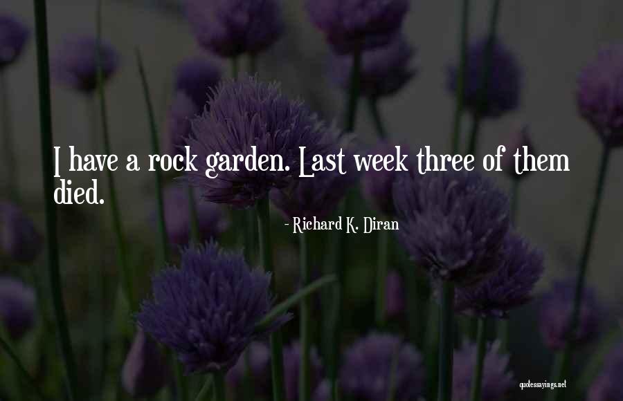 Rock Garden Quotes By Richard K. Diran Rock Garden Quotes By Richard K. Diran
