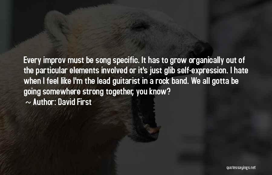 Rock Guitarist Quotes By David First