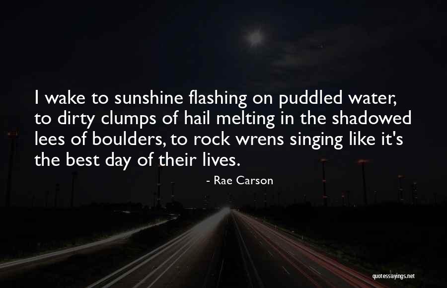Rock Lees Quotes By Rae Carson Rock Lees Quotes By Rae Carson